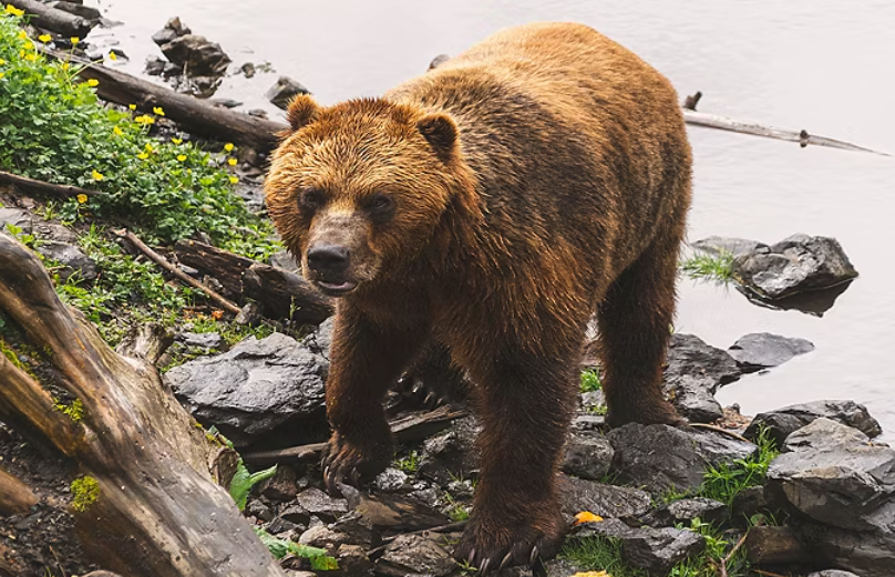 Alaska-2