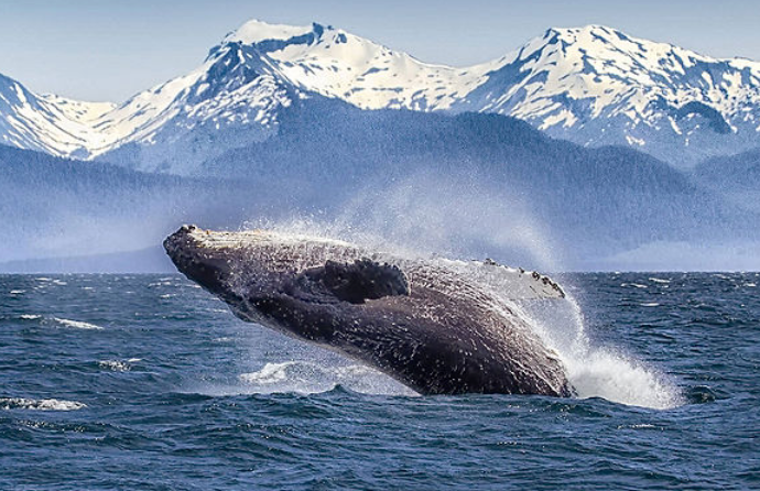Alaska-6