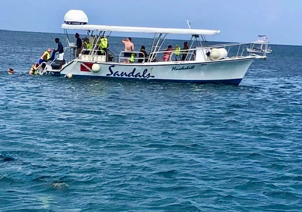 Scuba, Snorkel, or Chill: Which Water Activities Are Included at Sandals?