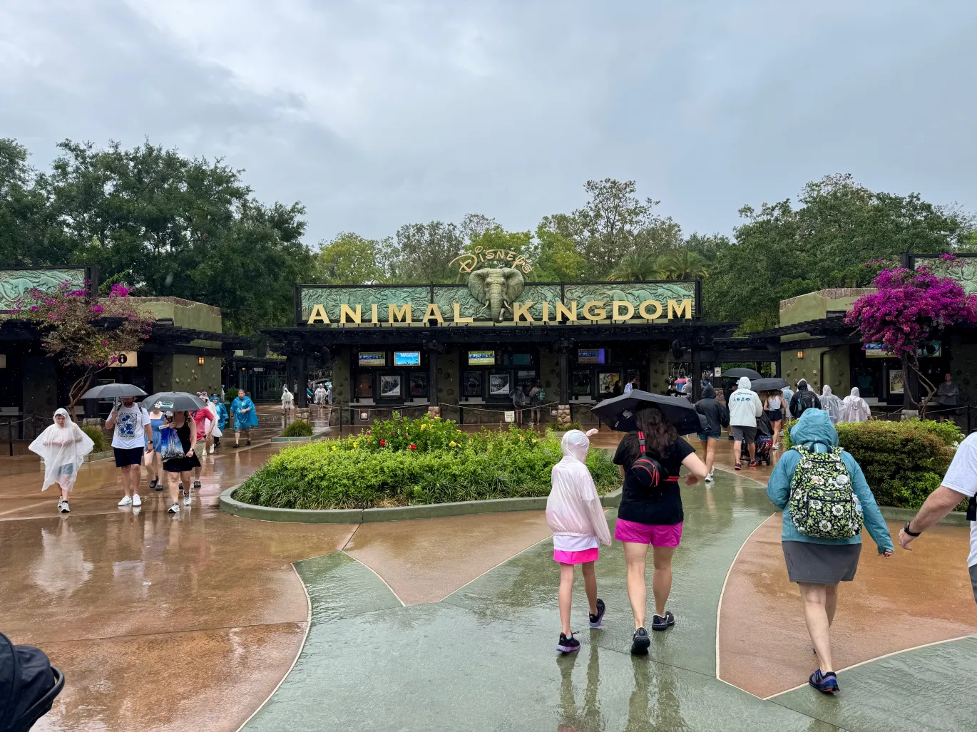 2-DAK-Entrance