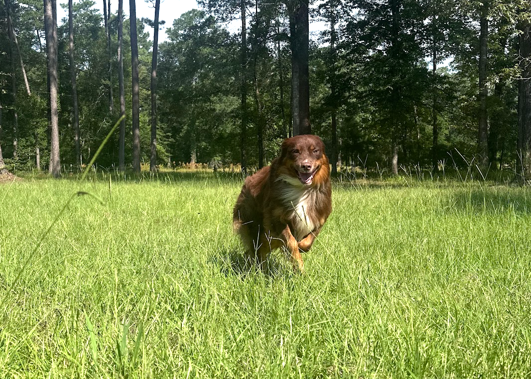 Trooper1